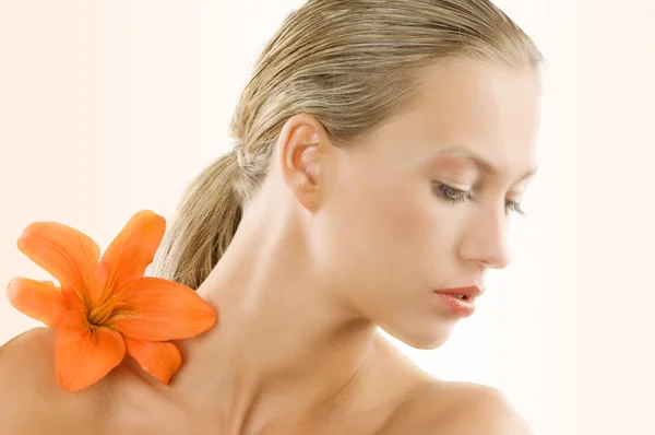 Die orangene Blume — Stockfoto