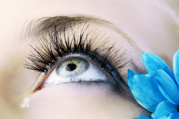 Крупный План Глаза Женщины Креативными Ресницами Голубыми Лепестками — стоковое фото