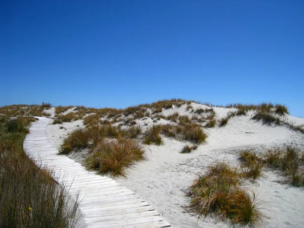 stock image Desert trail