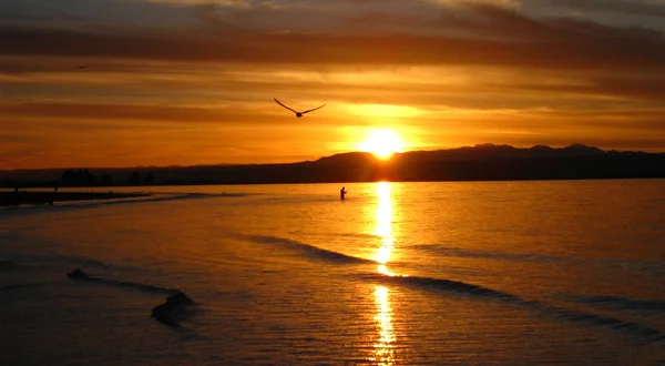 gün batımında balıkçılık