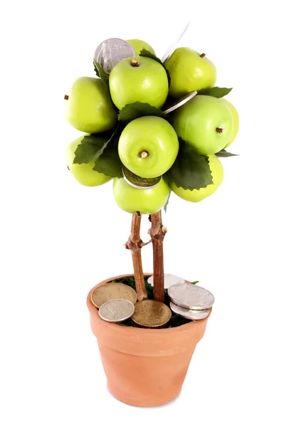 stock image Money apple tree