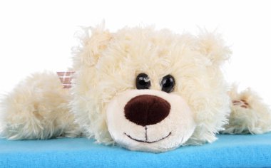 Chien tr peluche