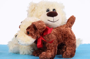 Chiens tr peluche