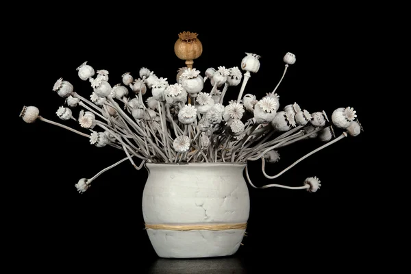 罂粟装饰在黑色背景上的一个白色的花瓶 — 图库照片