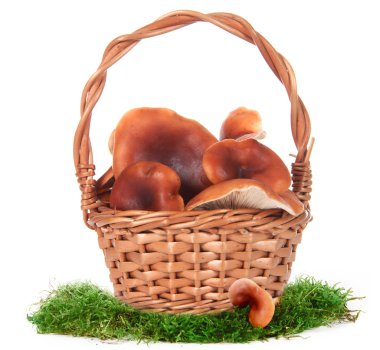 The image of a basket with the mushrooms, isolated, on a white background clipart