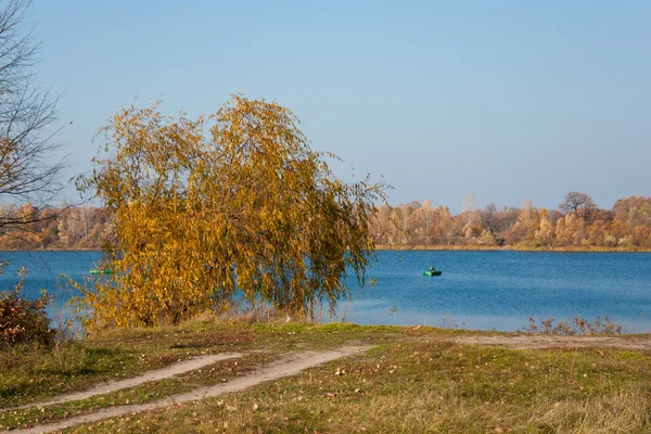 강 근처에 있는 나무 — 스톡 사진