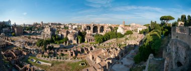 The Roman Forum panorama from the Palatine hill clipart