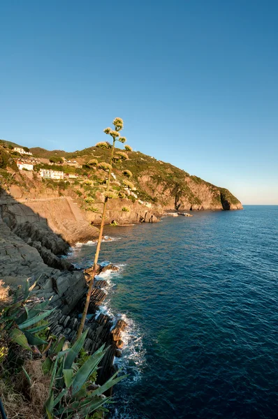 Hory Moře Národním Parku Cinque Terre Itálie — Stock fotografie