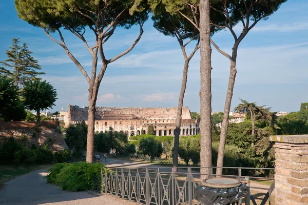 Zobrazit Koloseu Palantine Pahorku Římě Itálie — Stock fotografie