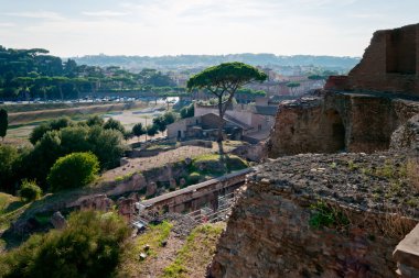 Domus Augustana and Circus Maximus in Rome, Italy clipart