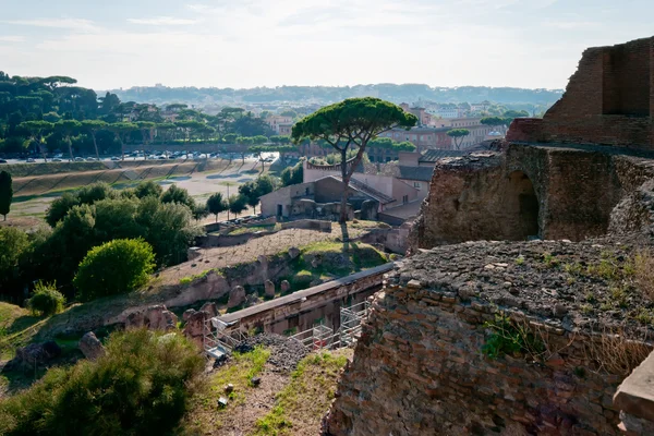 Domus Augustana Circus Maximus Roma Itália — Fotografia de Stock