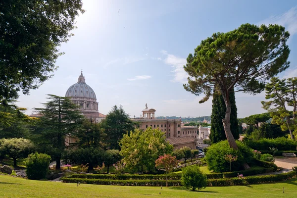Peter Basillica Vatikan Bahçeleri Manzaraya Stok Resim