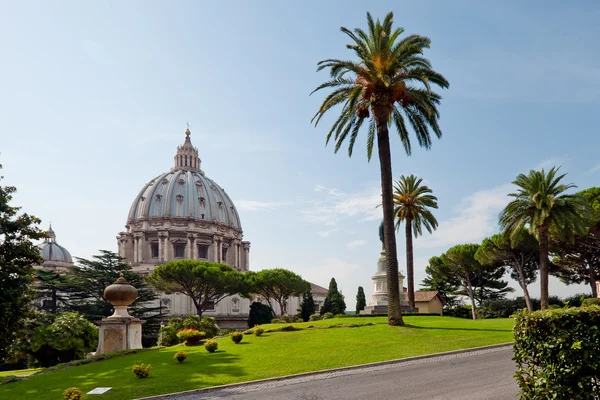视图在圣彼得的 Basillica 从梵蒂冈花园 — 图库照片