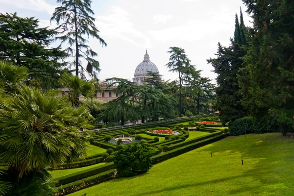 Visa Peters Basilika Från Vatikanen Trädgårdar Royaltyfria Stockfoton