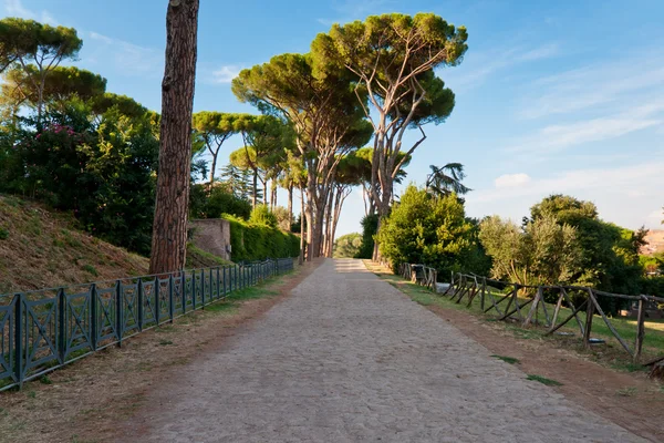 Mooie Wandeling Het Park Palatijnse Heuvel Rome Italië — Stockfoto