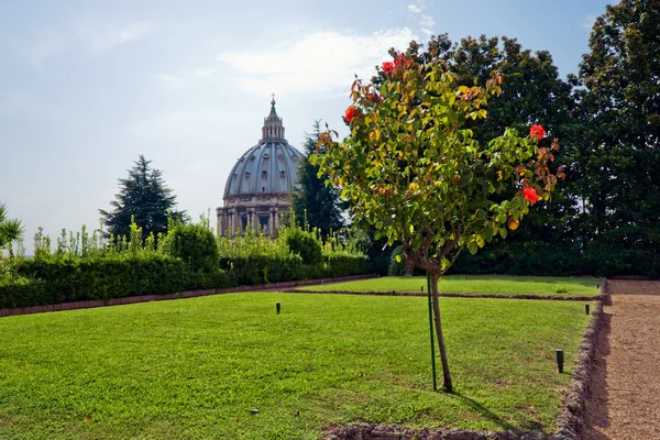 Vatikánské zahrady — Stock fotografie