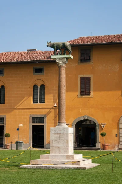 Famosa Estátua Lobo Capitolino Pisa Itália — Fotografia de Stock