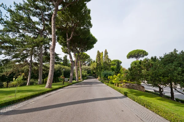 stock image Walk at the Vatican Gardens