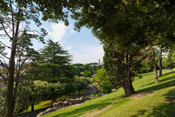 stock image View at the Vatican Gardens