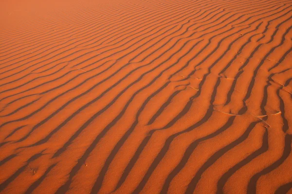 Africká poušť — Stock fotografie