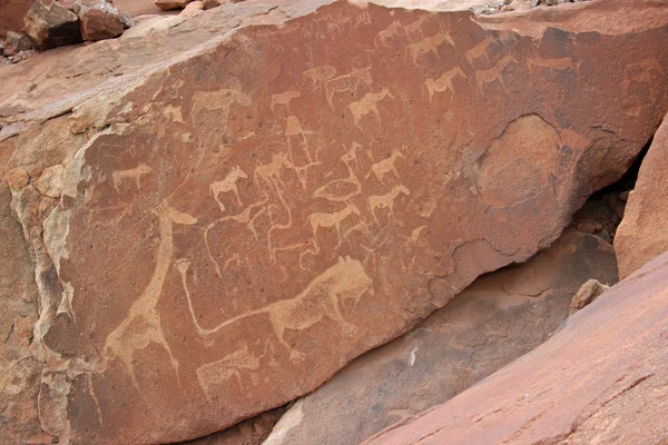 Gravures rupestres Bushmen — Photo