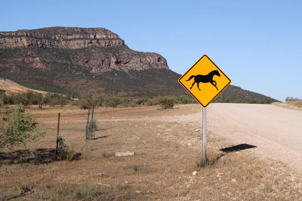 Caution - Wild Horses — Stock Photo, Image