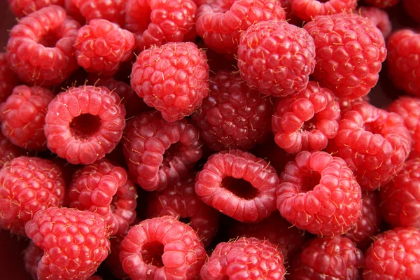 stock image Red Raspberries