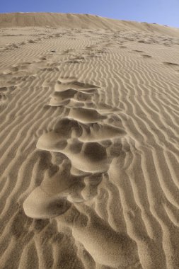 Maspalomas