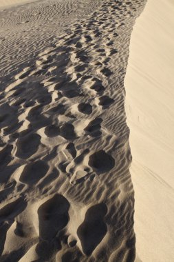 Maspalomas