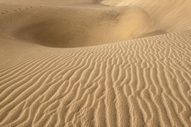 Maspalomas