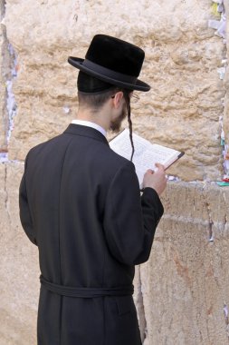 Western Wall. Jerusalem clipart