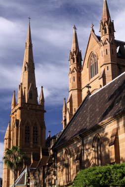 St. Mary's Cathedral. Sydney clipart