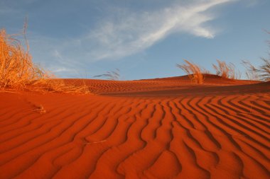 Sossuvlei