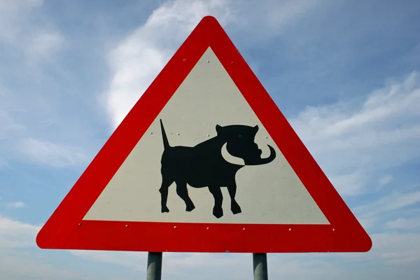 Watch out for warthogs — Stock Photo, Image