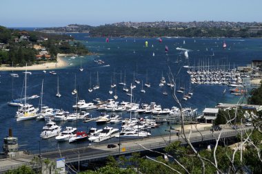 Yacht Harbor. Sydney clipart