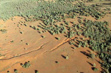 Outback. Australia clipart