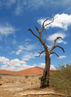 Sossuvlei clipart