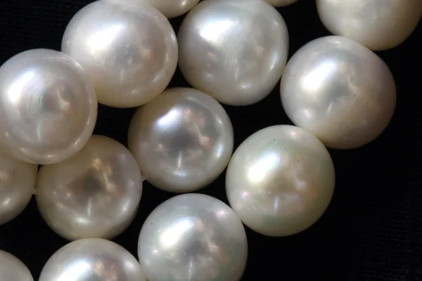 Vita pärlor — Stockfoto