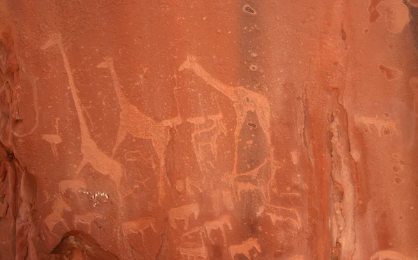 부시먼족 바위 조각 — 스톡 사진