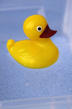 Rubber Duck clipart