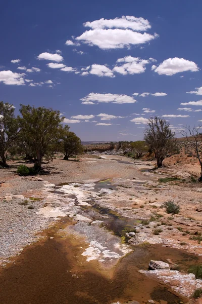 Outback australien — Photo