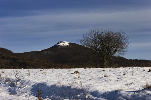 息をのむ冬の山の風景 — ストック写真