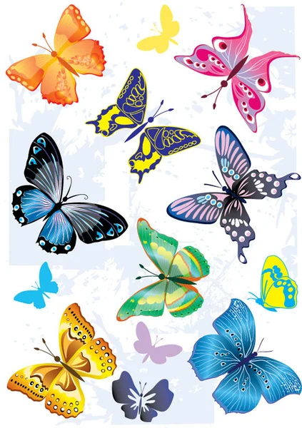 多彩多姿的蝴蝶的集合 — 图库矢量图片