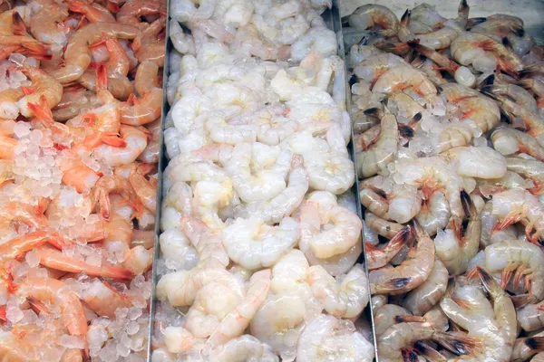 Variety of Shrimp — Stock Photo, Image