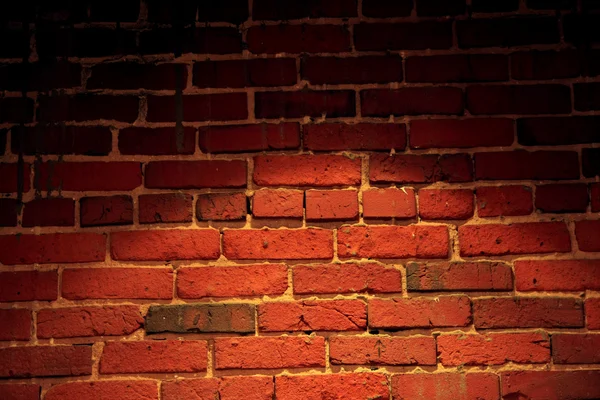 Spotlight on Brick Wall — Stock Photo, Image