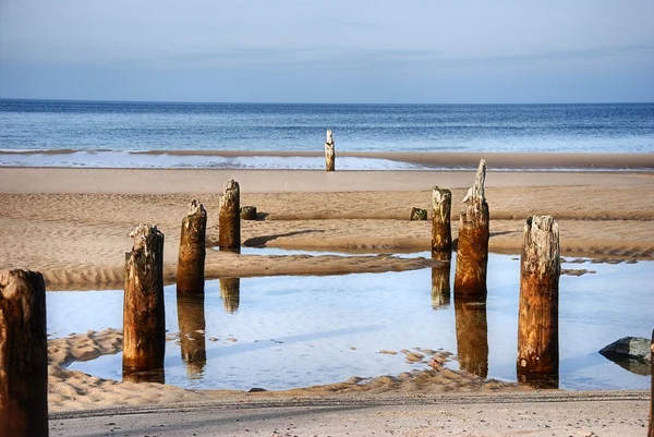 stock image Coast of the Baltic Sea near the Miedzyzdroje City. Wooden pale on the picture.