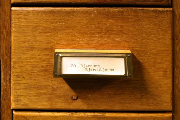Μέτωπο Του Μπιέρνστιερνε Μπιέρνσον Συρτάρι Από Κατάλογος Καρτών — Φωτογραφία Αρχείου