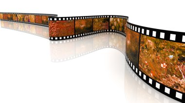 Beyaz backgroung doğa resimleri ile dolu boş 3D film