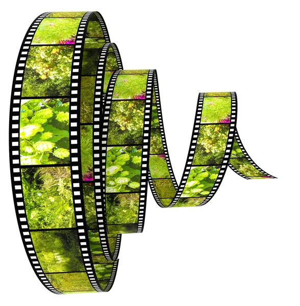 Film Segment Rolled Forward Filled Pictures Nature — Stock Photo, Image