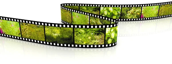 Blank Film Filled Pictures Nature — Stock Photo, Image